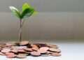 Building Lasting Wealth: Sustainable Strategies