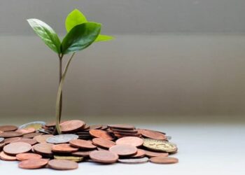 Building Lasting Wealth: Sustainable Strategies