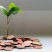 Building Lasting Wealth: Sustainable Strategies