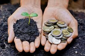 A Summary of Sustainable Finance Trends 2022 | FutureBusiness