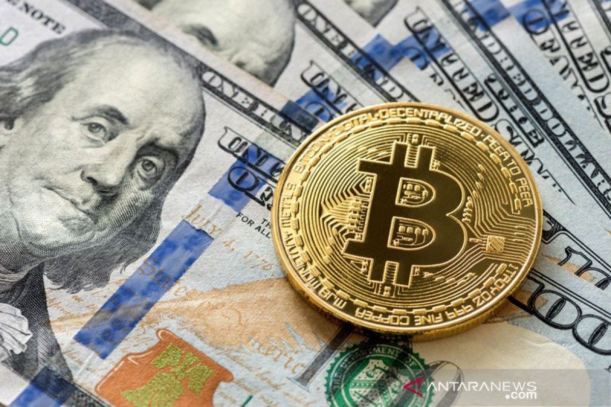 Masyarakat awam diingatkan soal risiko investasi di mata uang kripto - ANTARA News